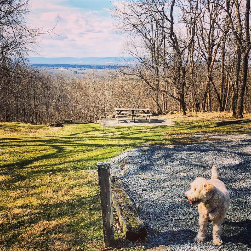 Loudoun County tourism revenue increases for fifth straight year