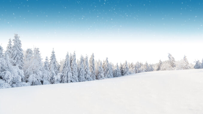 Winter snowy landscape