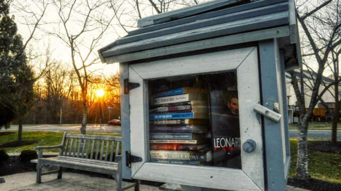 VPA Award Winning Photo Little Free Library
