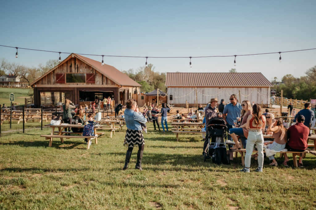 An old farm near Ashburn the area’s latest winery and vineyard