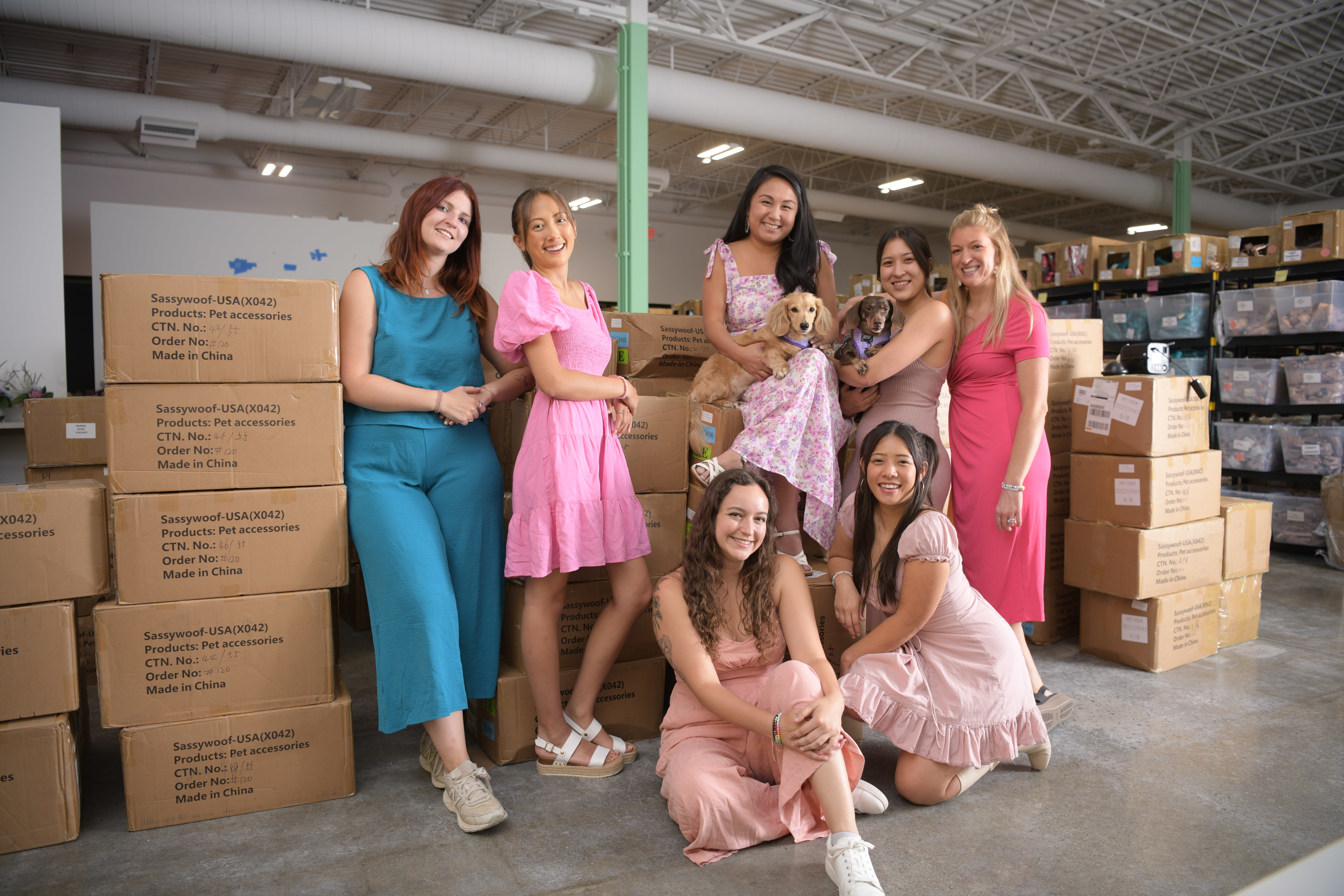 Woof on sale box usa