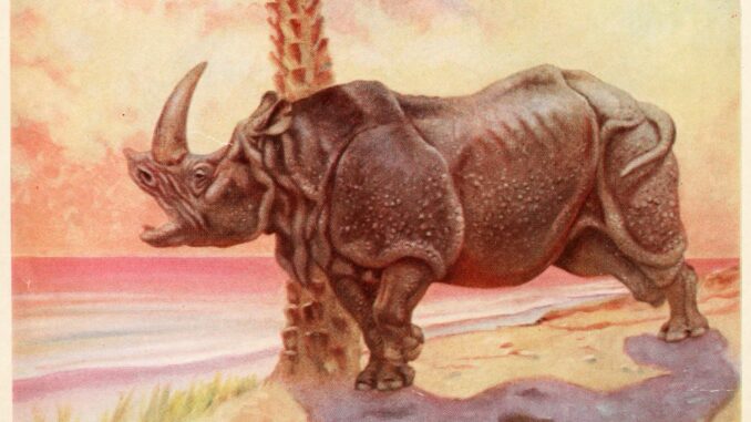 Illustration_to_How_the_Rhinoceros_Got_His_Skin_(Doubleday_ed.)