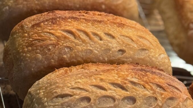 wrights daily bread